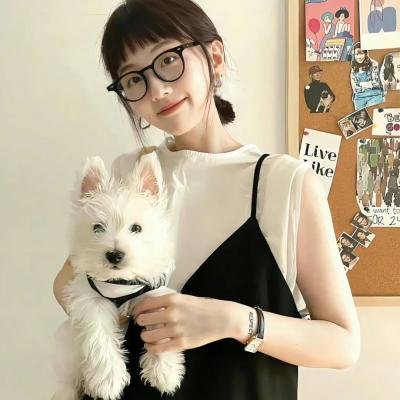 天蝎第二季